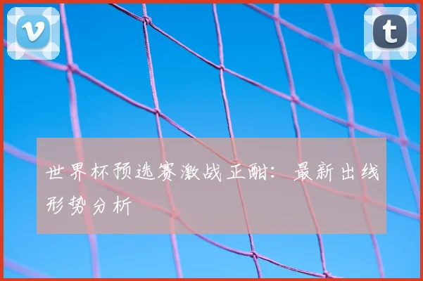 世界杯预选赛激战正酣：最新出线形势分析