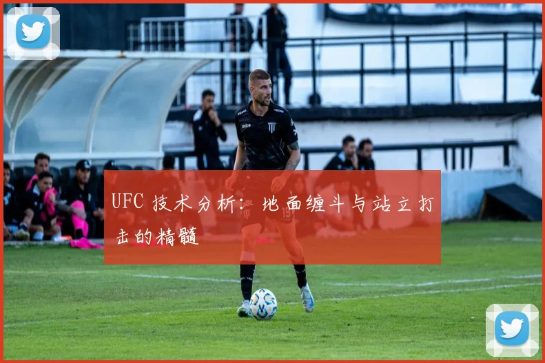 UFC 技术分析:地面缠斗与站立打击的精髓