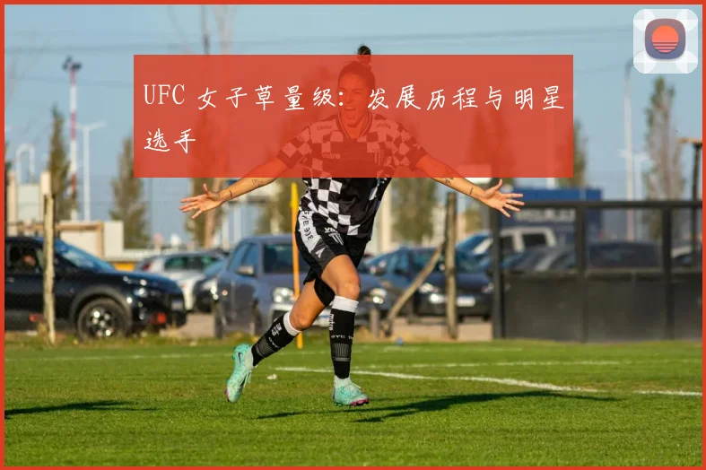 UFC 女子草量级：发展历程与明星选手