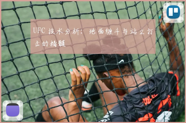 UFC 技术分析：地面缠斗与站立打击的精髓